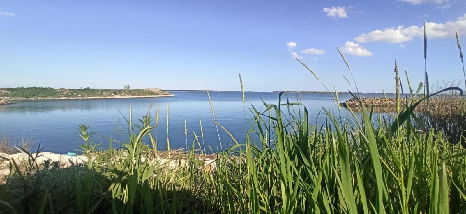 Casa Vacanze Nel Delta Del Po Taglio Di Po Экстерьер фото